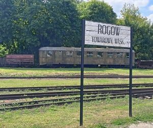 Rogowska kolej wąskotorowa. To perełka wśród zabytków techniki w Łódzkiem