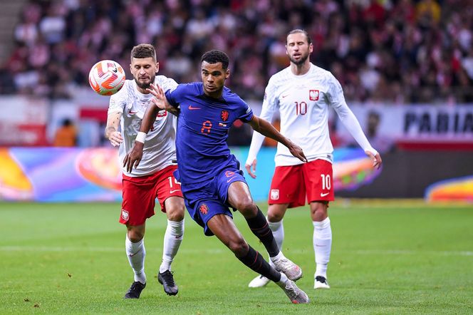 Cody Gakpo - gwiazda Holandii