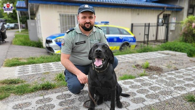 Szkolenie psów policyjnych nad Zalewem Zemborzyckim