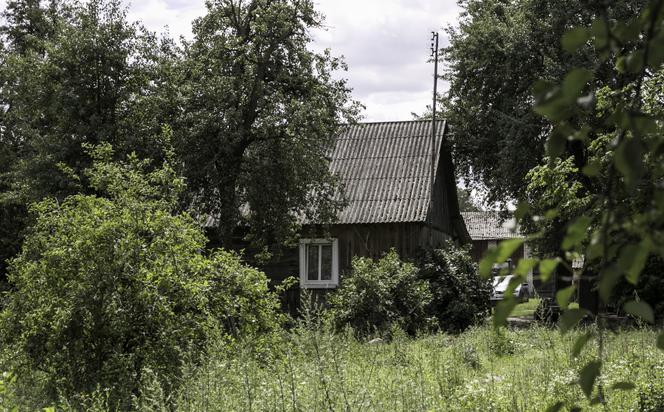 Upiekła dziecko w piekarniku