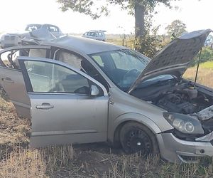Tragedia na drodze w woj. lubelskim. Nie żyje 49-letnia kierująca
