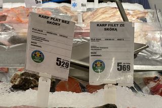 Ceny karpia 2024. Kraków