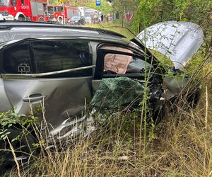 Citroen zderzył się z peugeotem pod Zieloną Górą. Dwoje dzieci trafiło do szpitala