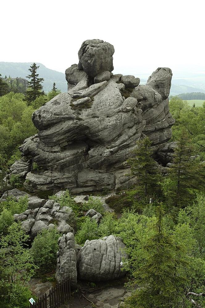 Najpiękniejsze parki narodowe w Polsce - które warto odwiedzić?