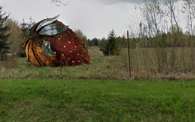 Wielka truskawka pod Warszawą