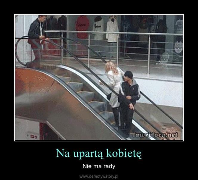 Najlepsze memy o blondynkach