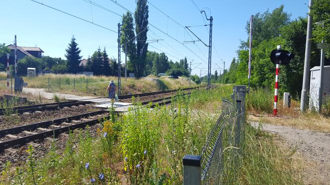 Pociąg potrącił mężczyznę przechodzącego przy zamkniętym szlabanie