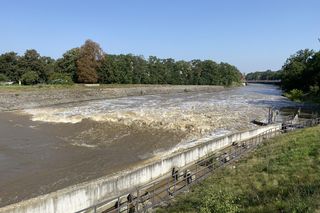 Jaz Szczytnicki we Wrocławiu coraz bardziej wypełniony. Do Wrocławia zbliża się fala ZDJĘCIA