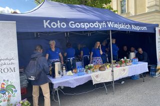 Przystanek Cabrio Powiat Ostródzki