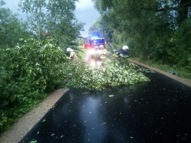 Kolejne groźne nawałnice przeszły nad Warmią i Mazurami. Strażacy interweniowali kilkaset razy [ZDJĘCIA]