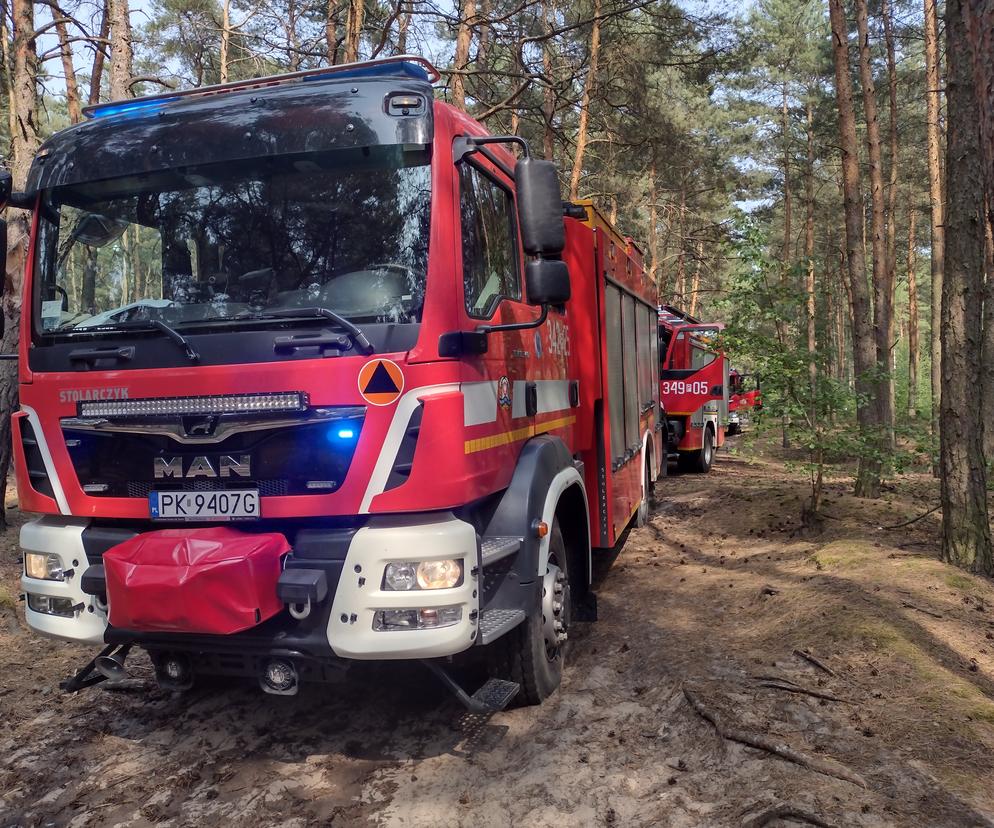 Kalisz. Czy to były podpalenia? Policja zatrzymała 16-latka 