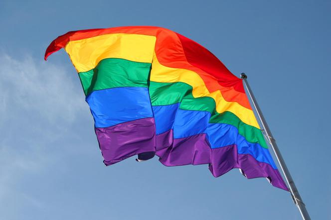 Flaga homoseksualistów