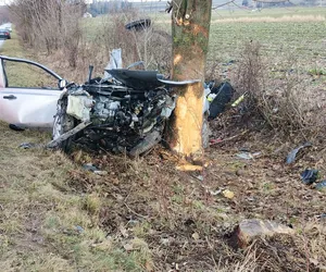 Tragedia w Lubelskiem. 19-latek zginął po uderzeniu samochodem w drzewo