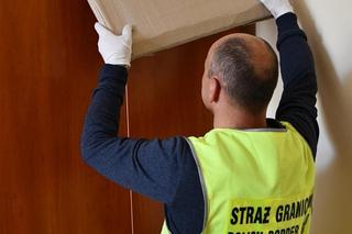 Skradziony obraz z 1629 roku, trafi do Zamku Królewskiego na Wawelu