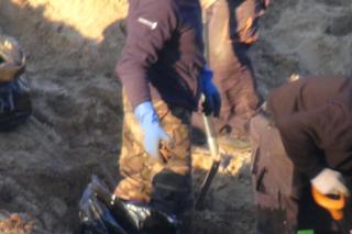 Szokujące odkrycie w Wieliszewie. Budowlańcy wykopali ludzkie szczątki