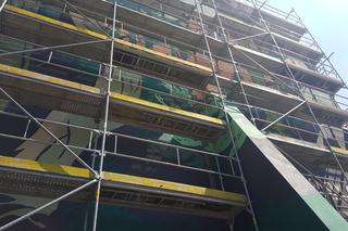 Mural Sosnowy początek w Sosnowcu