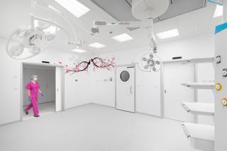 Przebudowa oddziału położniczego w Łodzi 