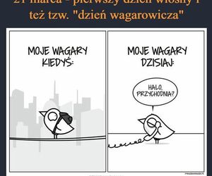 MEMY: 1 Dzień wiosny i Dzień Wagarowicza