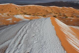 Koniec świata! Sahara zamarzła. Pustynię pokrył śnieg. ZDJĘCIA