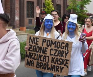 Juwenalia UMK w Toruniu: Piękny, bajkowy Pochód w ramach Piernikaliów. Mamy zdjęcia