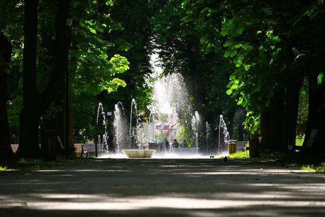 Ogród Saski w Sandomierzu cudownie wygląda wiosną! Zdjęcia