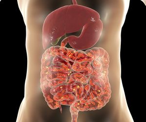 Jelito cienkie - jaką spełnia rolę?