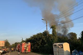 Pożar w ogródku działkowym w okolicach ulicy Lewinowskkiej i Łodygowej