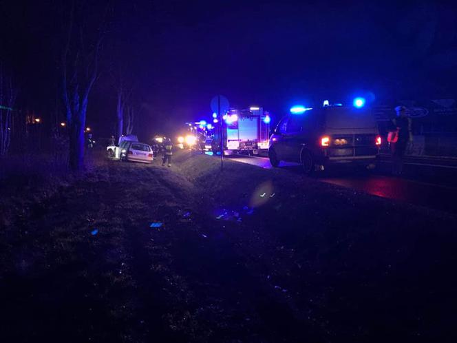 Wypadek w pobydgoskim Żołędowie. Osobówka uderzyła w drzewo! [ZDJĘCIA]