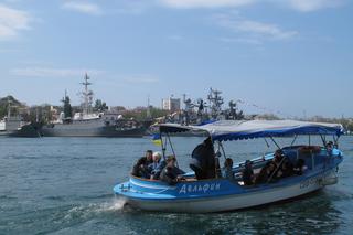 Resort obrony Wielkiej Brytanii: Rosja wykorzystuje delfiny do obrony bazy morskiej na Krymie