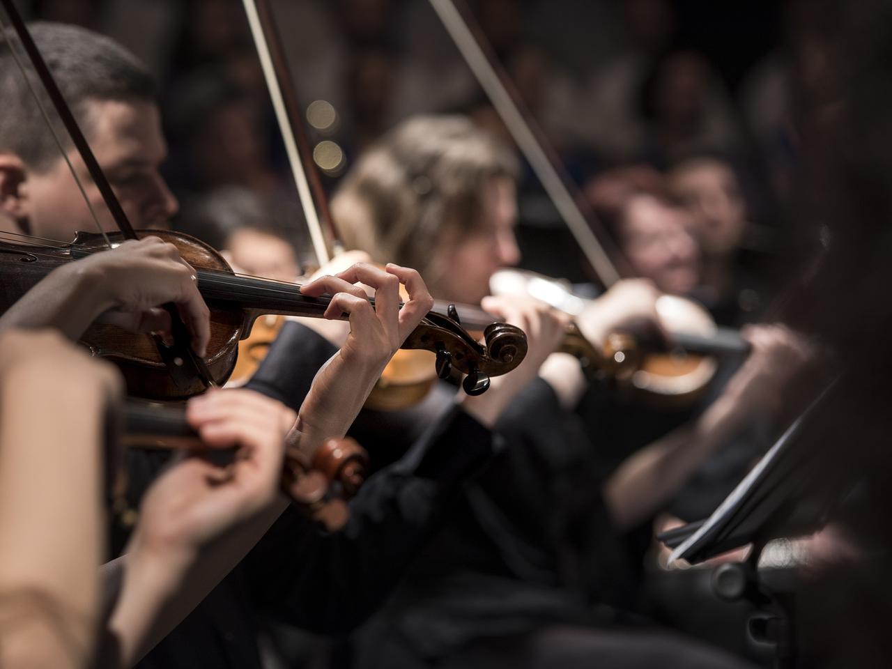 Płocka Orkiestra Symfoniczna będzie spotykać się z melomanami online!