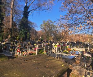 Kwesta na cmentarzu Rakowickim 2025