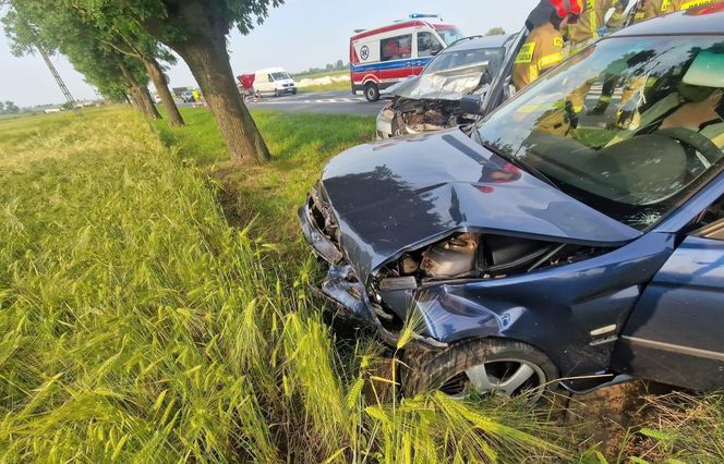 Wypadek niedaleko Gostynia. Kobieta zasnęła za kółkiem