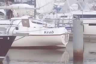 Tak nazywają się jachty i łodzie w gdyńskiej marinie