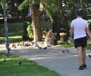 Złota polska jesień w Kielcach. Pogoda dopisuje spacerującym