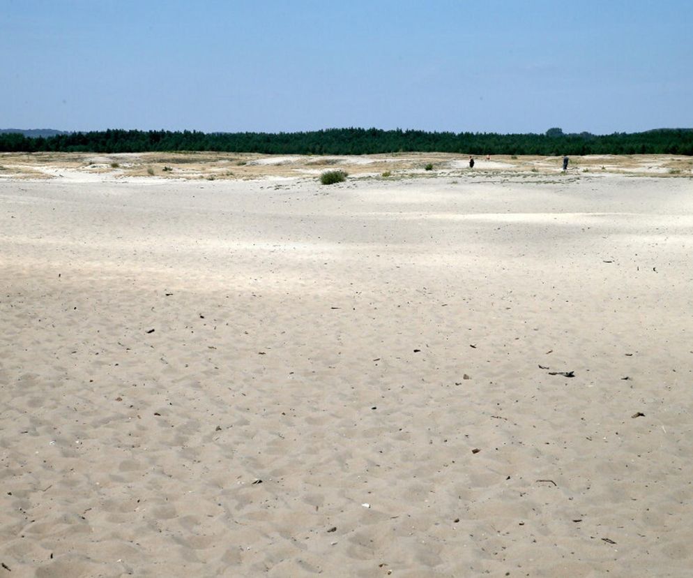 Pustynia Błędowska