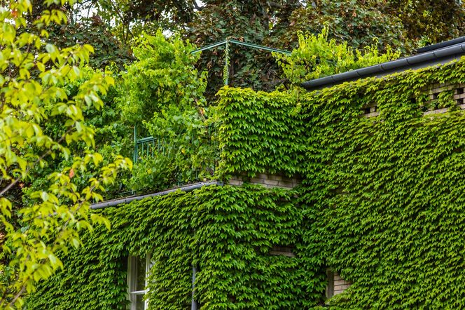 Willa Romualda Gutta na Kolonii Profesorskiej w Warszawie