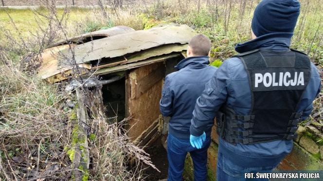 Wspólna akcja policjantów z Kielc i Grudziądza. Odkryli podziemną plantację