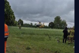 Wypadek pod Radomskiem. Bus wbił się w drzewo! Sześć osób w szpitalu, droga zablokowana