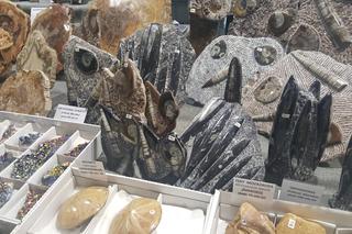 Giełda Minerałów w Sosnowcu