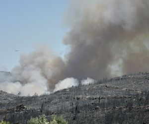 Podpalił Turcję, bo chciał iść do więzienia! Podpalacz kurortów złapany