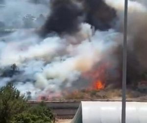 Fala upałów w Europie! Centra chłodzenia powstają w miastach