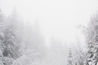 Śnieg i marznąca mżawka, miejscami mgły! W tych rejonach Polski dojdzie do zmiany pogody