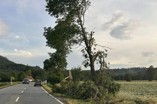 Dolnośląskie. Burze wyrządziły wiele szkód w regionie. Tak wyglądają okolice Jawora [ZDJĘCIA].