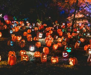 Halloween 2025 w Warszawie. Gdzie się wybrać? Czekają imprezy, pokazy horrorów i atrakcje dla dzieci