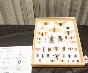 Targi egzotyki w Katowicach