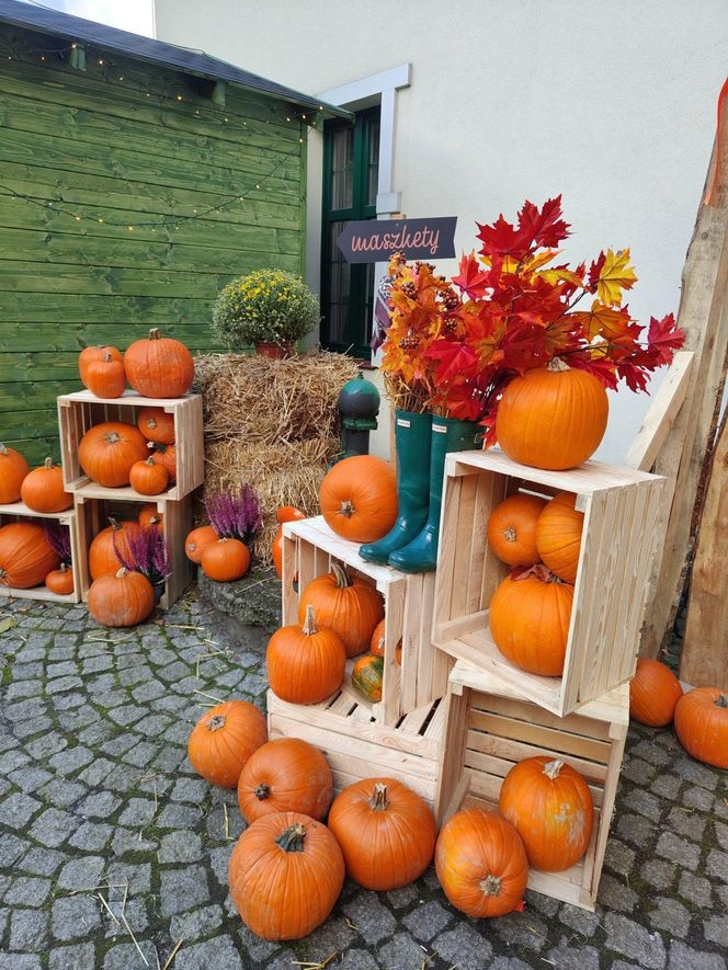 Jesienna atrakcja dla całej rodziny. Zabytkowa stacja w Rudach zaprasza na Pumpkin Express