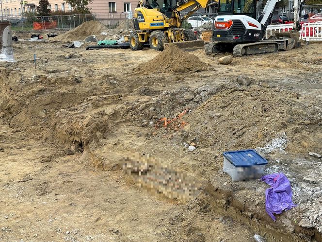 Na budowie trasy tramwajowej wykopali ludzki szkielet. Czyje szczątki odnaleziono?