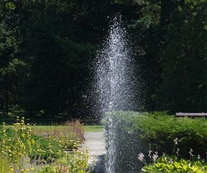 Ogród Botaniczny w Poznaniu 