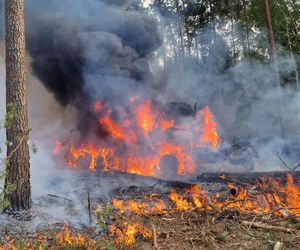 Pożar harwestera w Borze Kunowskim
