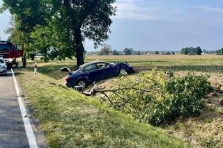 Śmiertelny wypadek w woj. lubelskim